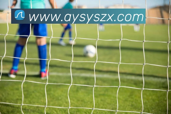 赛事专题整合